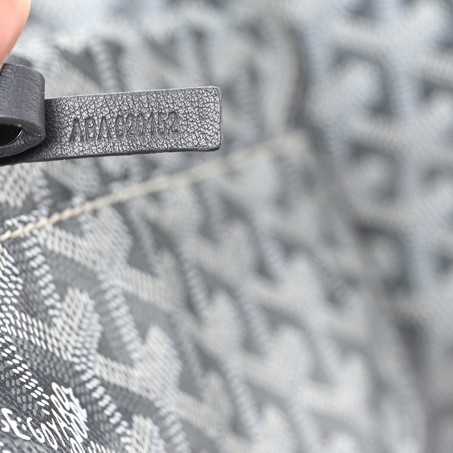 Goyard Goyardine Saint Louis PM Grey 8 of 14