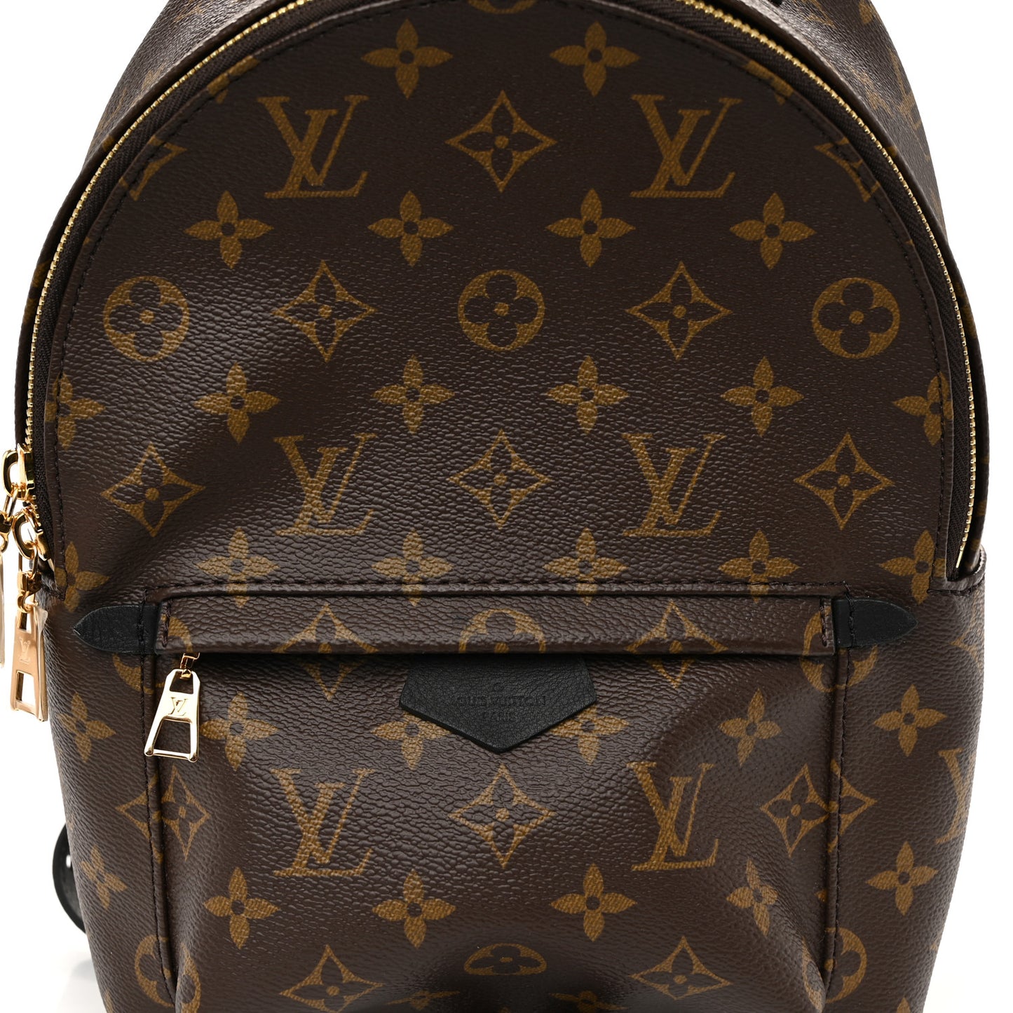 Monogram Palm Springs Backpack PM