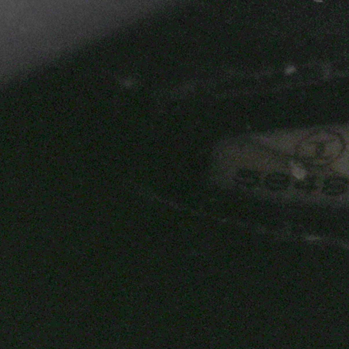 Caviar Quilted Medallion Tote Black