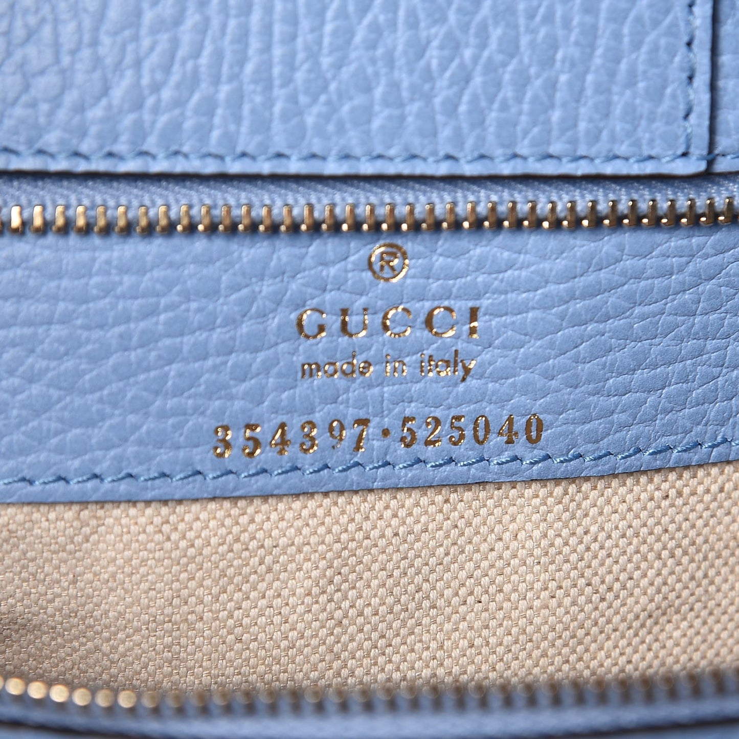 Dollar Calfskin Medium Swing Tote Camelia Mineral Blue