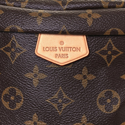 Louis Vuitton Monogram Bumbag 11 of 12