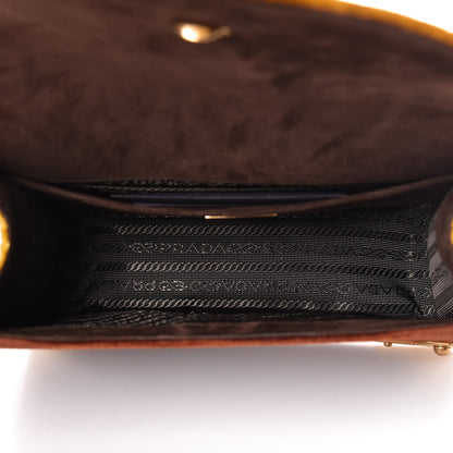 Prada Velluto Lions Head Cahier Shoulder Bag Ambra 7 of 14