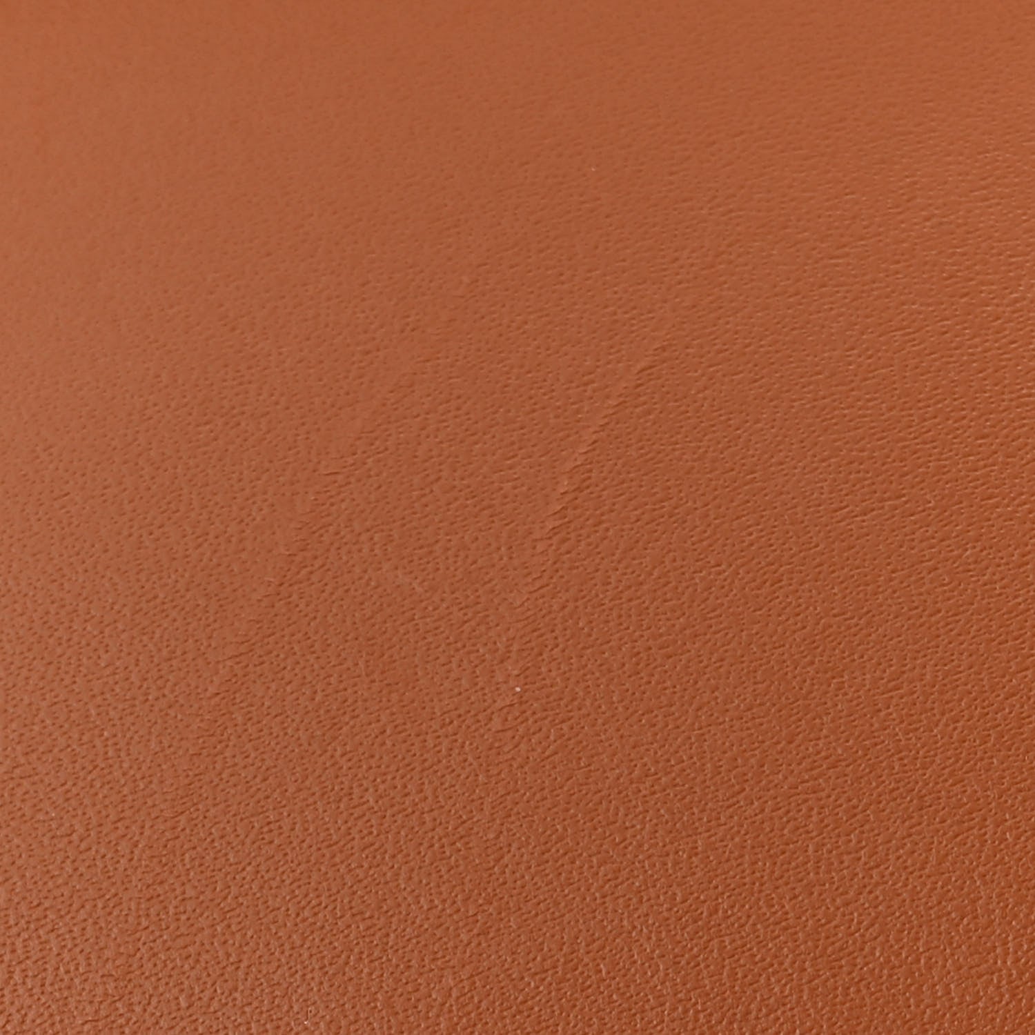 Loewe Calfskin Mini Gate Belt Bag Tan 11 of 12