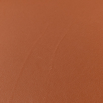 Loewe Calfskin Mini Gate Belt Bag Tan 11 of 12