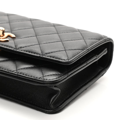 Chanel Lambskin Quilted Trendy CC Wallet On Chain WOC Black 11 of 12