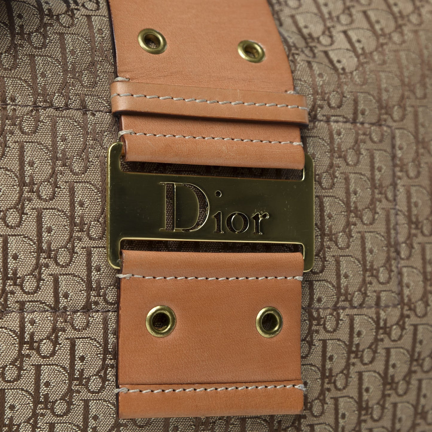 Monogram Street Chic Hobo Beige