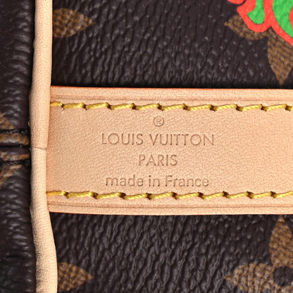 Louis Vuitton LV X YK Monogram Embroidered My Eternal Soul Speedy Bandouliere 25 Multicolor 7 of 10