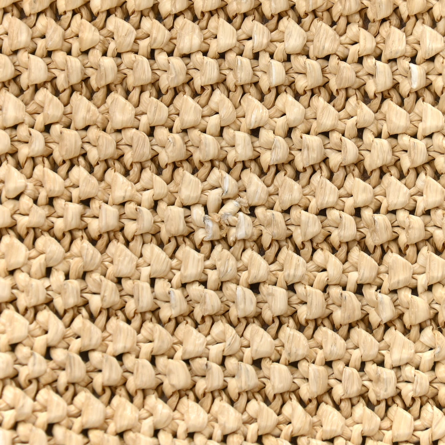 Raffia Canvas Monogram Lou Camera Bag Beige Black