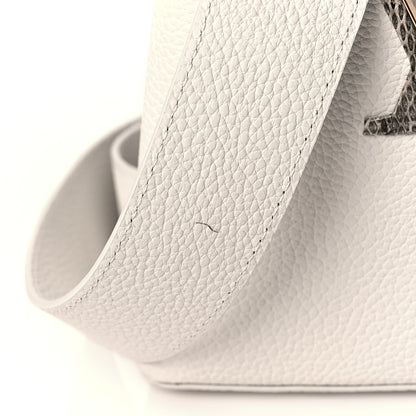 Louis Vuitton Taurillon Ayers Capucines Mini White Snow White 10 of 10