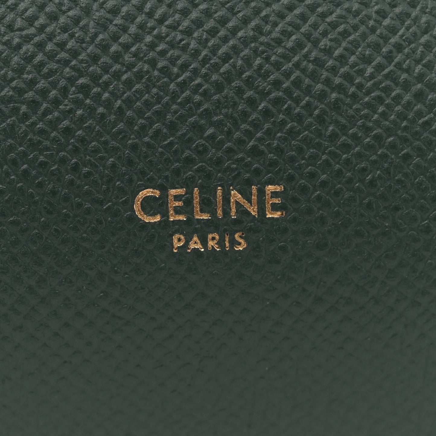 Grained Calfskin Nano Belt Bag Amazone