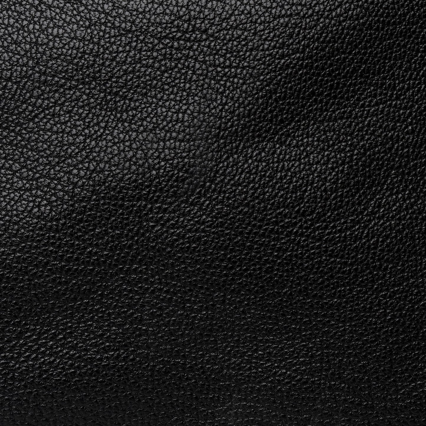 Chevre Gold Metallic Edge Hardware Velo Black