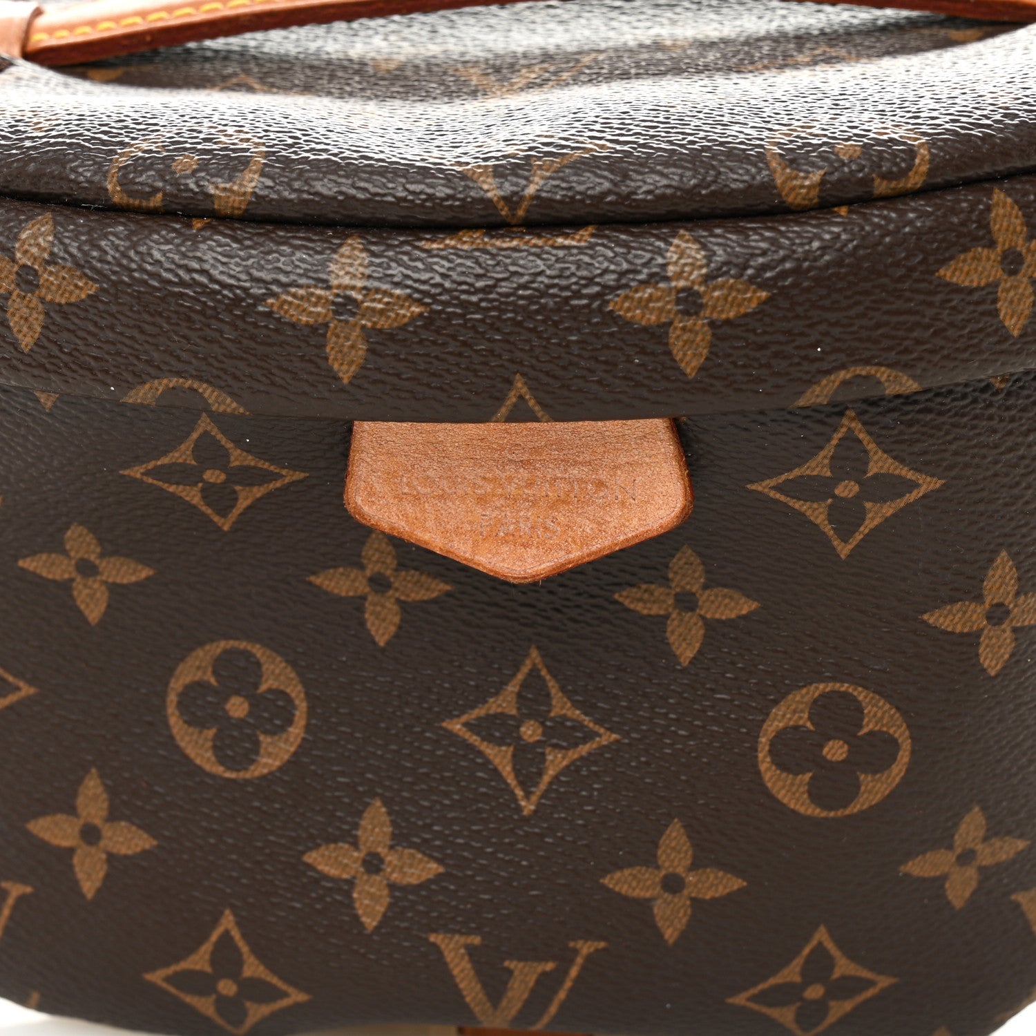 Louis Vuitton Monogram Bumbag 8 of 10