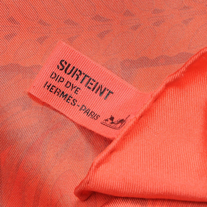 Hermes Silk Dip Dye La Danse Du Cheval Marwari Scarf 90 Grenadine Corail Rouge 4 of 5