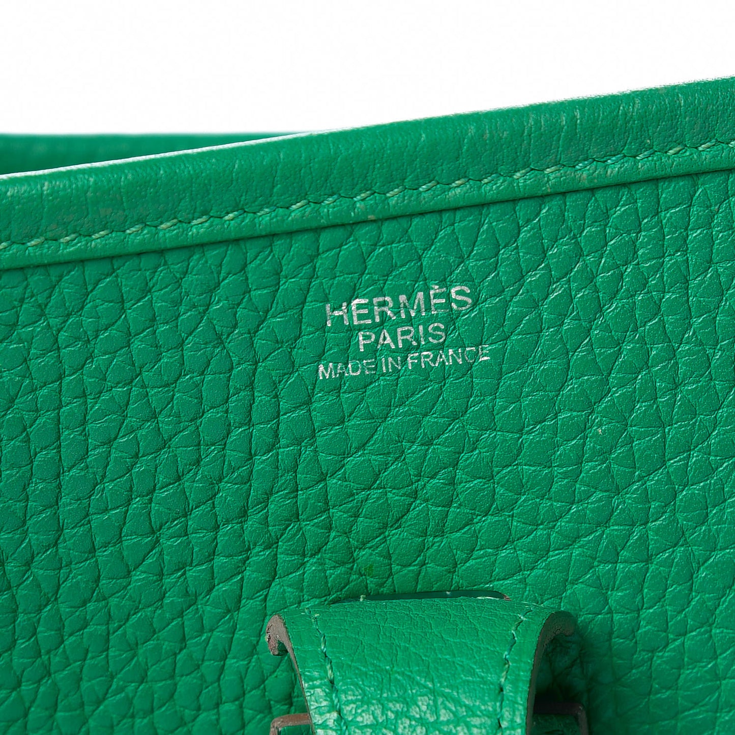 Taurillon Clemence Evelyne III PM Vert Menthe