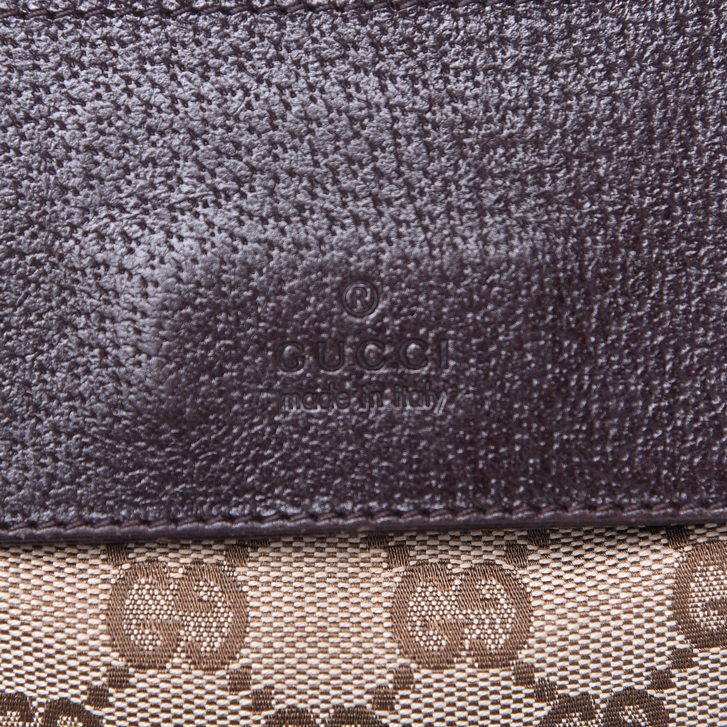 Monogram Web Belt Bag Dark Brown