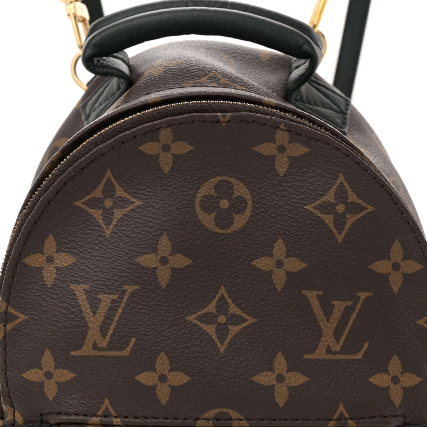 Monogram Palm Springs Backpack Mini