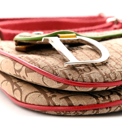 Christian Dior Monogram Rasta Double Saddle Beige Saddle Beige 9 of 11