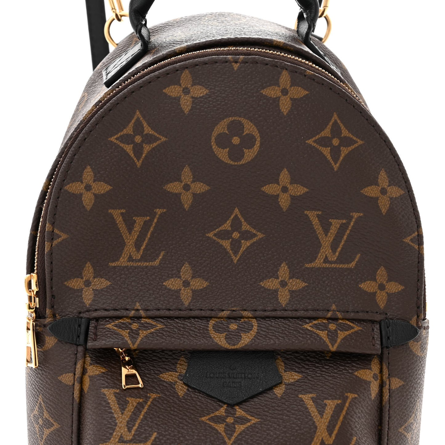 Monogram Palm Springs Backpack Mini