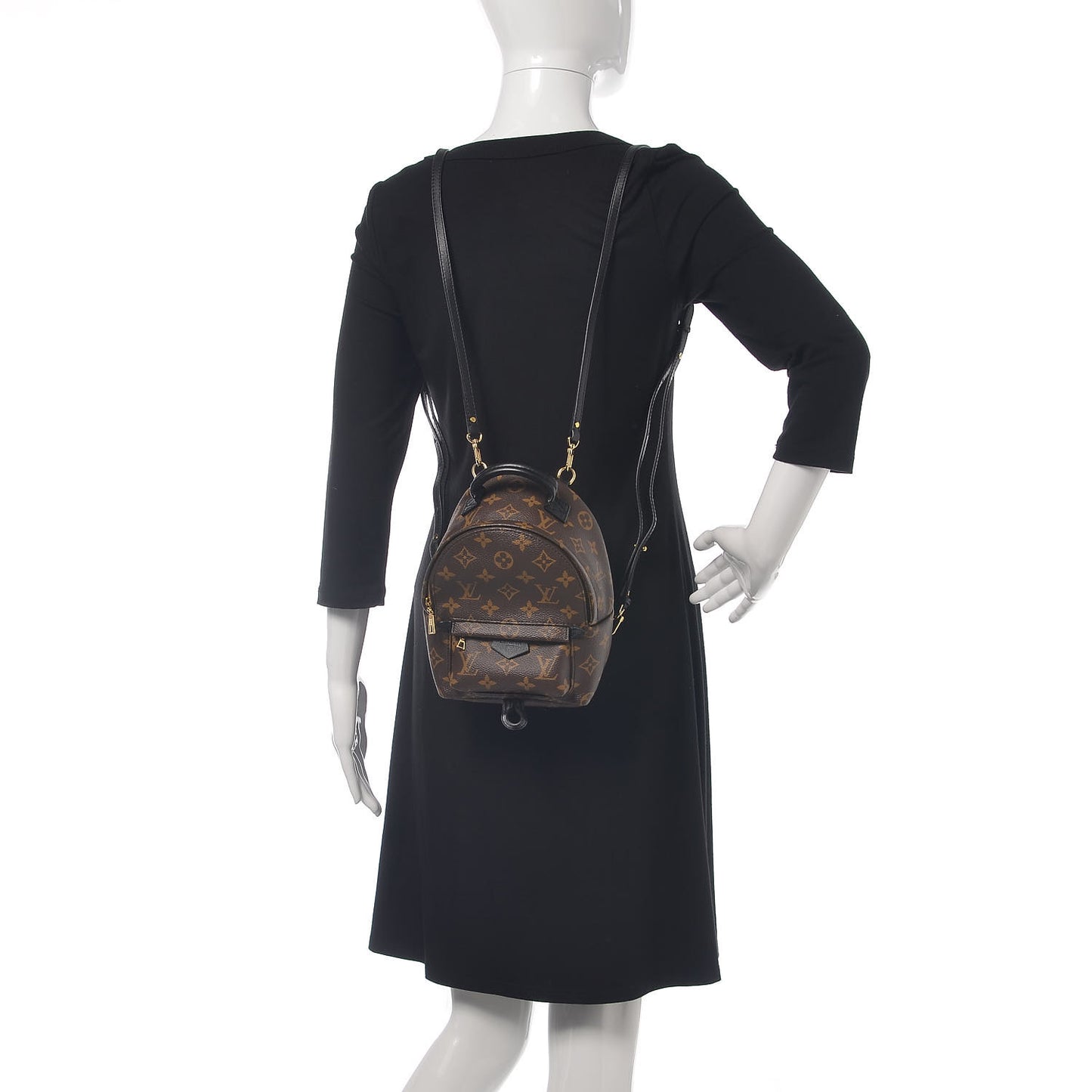 Monogram Palm Springs Backpack Mini