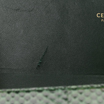 Celine Watersnake Teen Triomphe Green 11 of 11