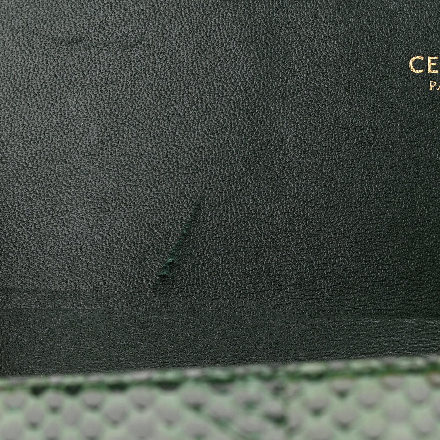 Celine Watersnake Teen Triomphe Green 1708060 – FASHIONPHILE