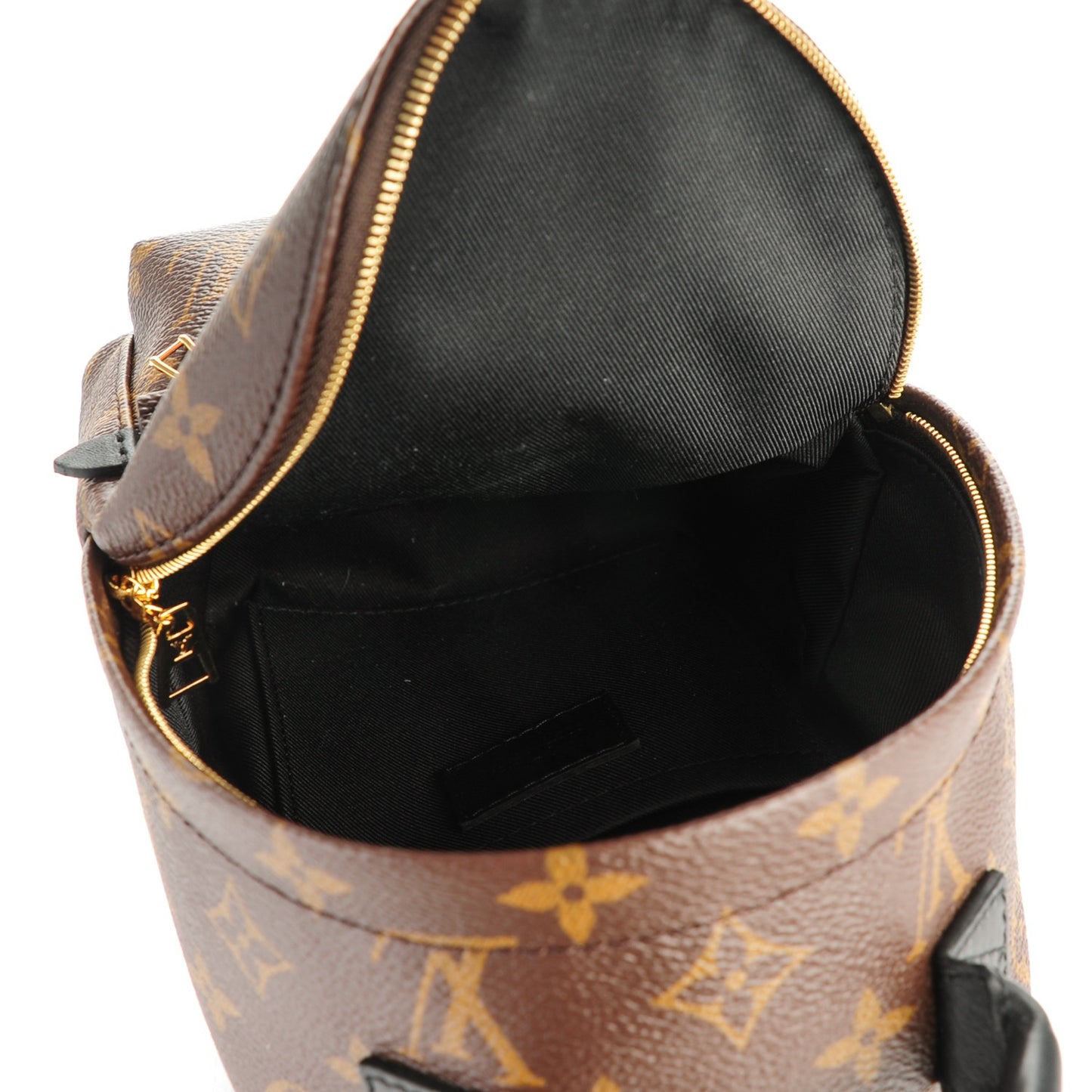 Monogram Palm Springs Backpack Mini