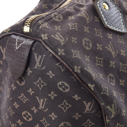 Louis Vuitton Mini Lin Speedy 30 Ebene 18 of 19