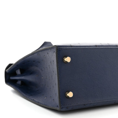 Hermes Ostrich Kelly Sellier 25 Bleu Iris 9 of 10