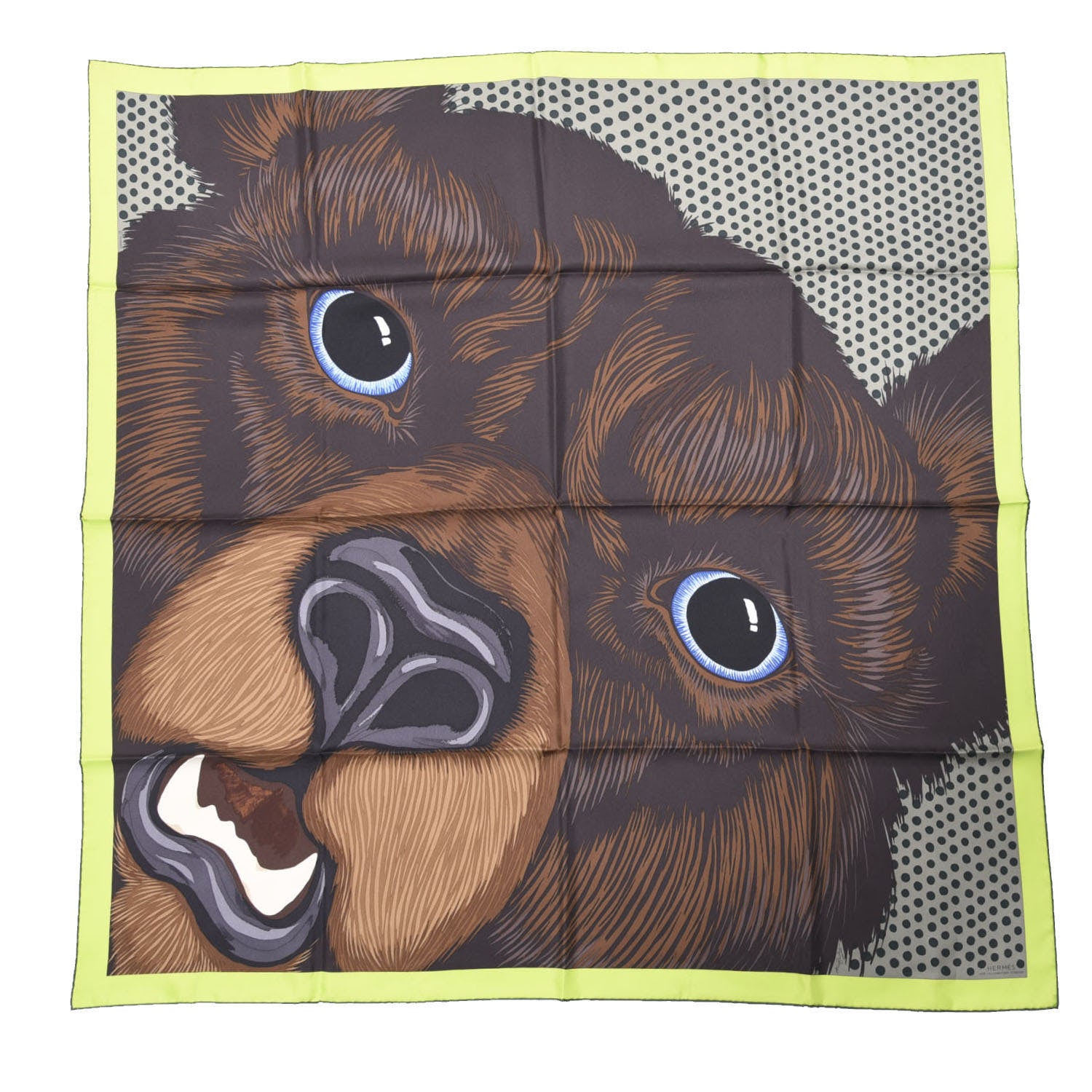 Hermes Silk Grrrrr! Scarf 100 Marron Lime Sapin 1 of 4