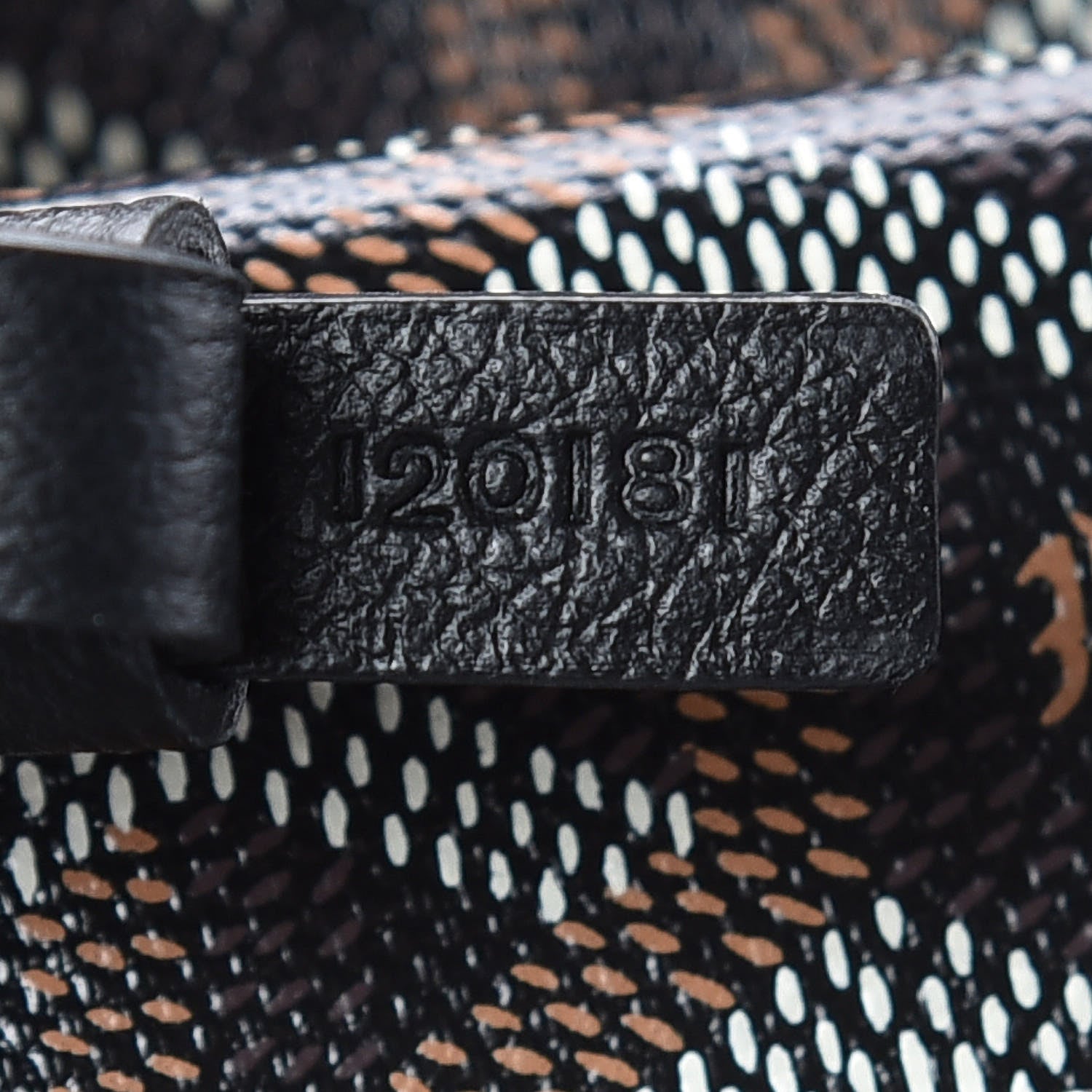 Goyard Goyardine Saint Louis PM Black 10 of 11