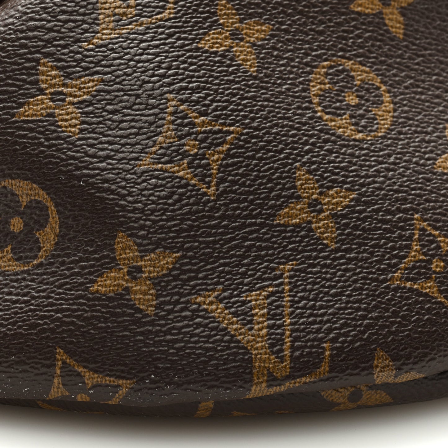 Monogram Bumbag