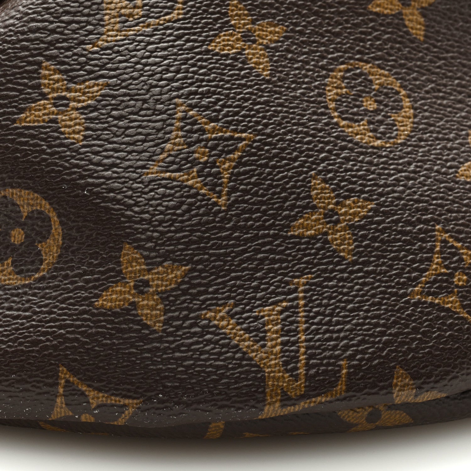 Louis Vuitton Monogram Bumbag 7 of 8