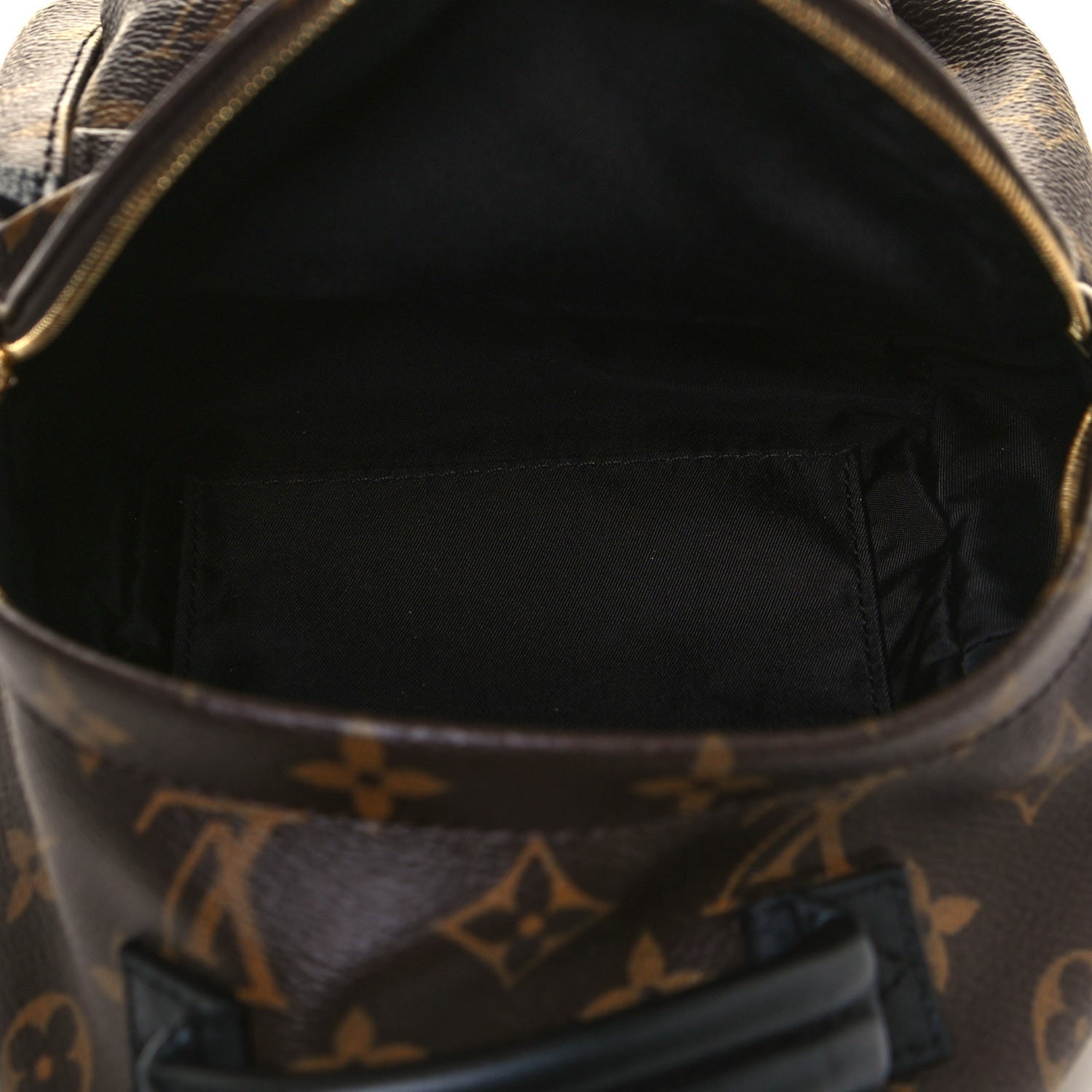 Louis Vuitton Monogram Palm Springs Backpack Mini 5 of 11