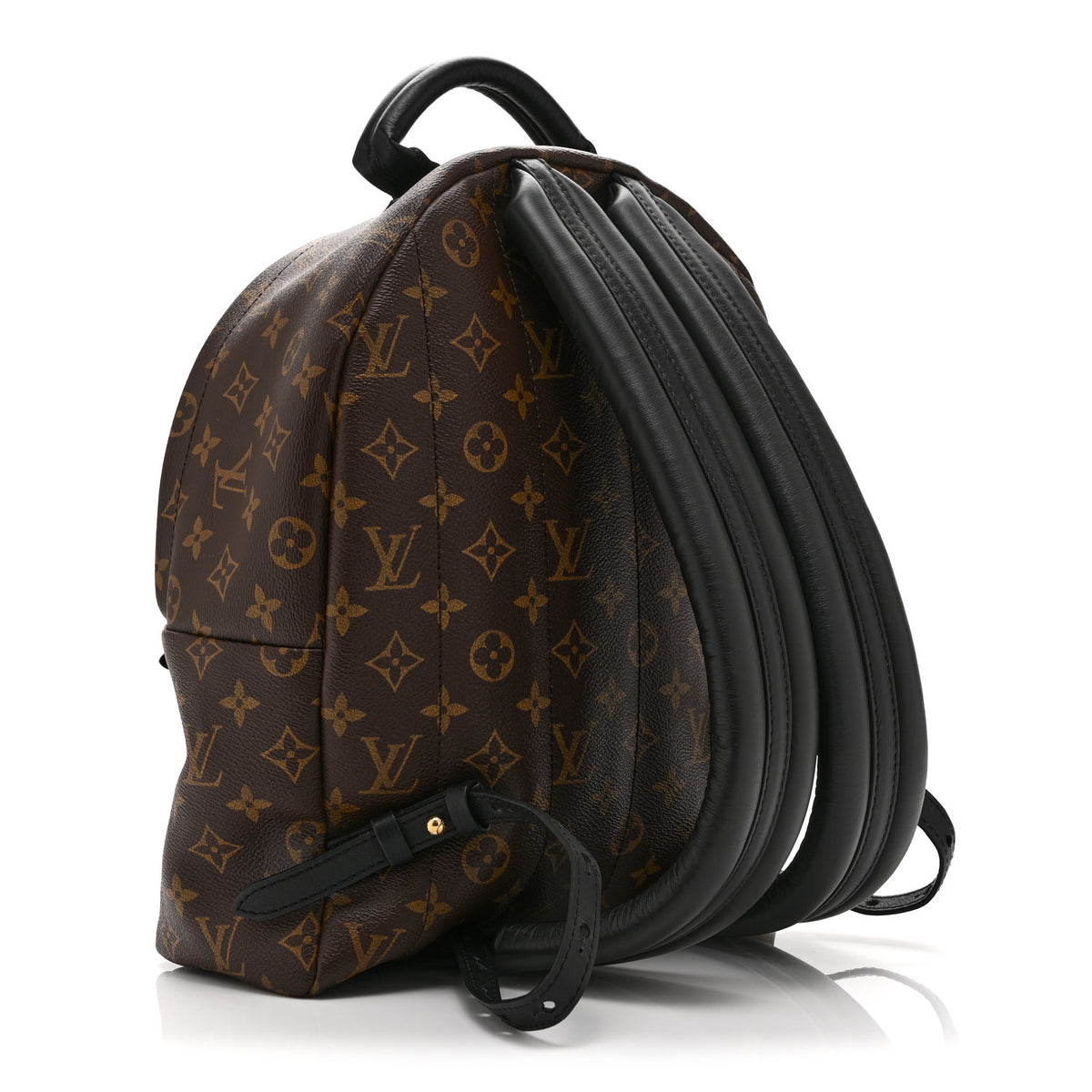 Monogram Palm Springs Backpack MM