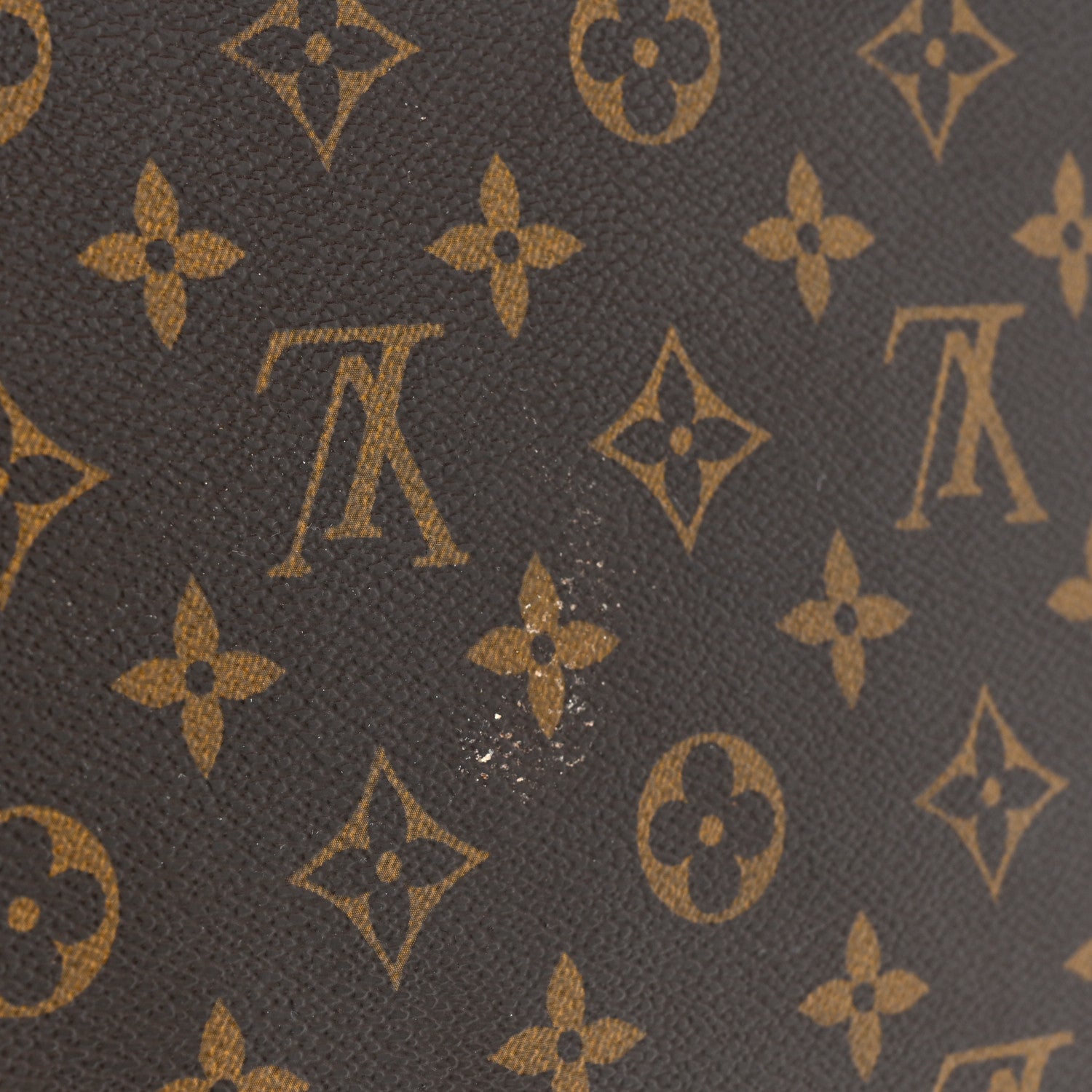 Louis Vuitton Monogram Palermo GM 19 of 20