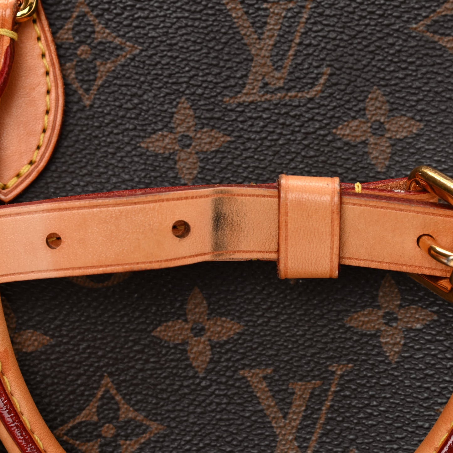 Monogram Turenne PM