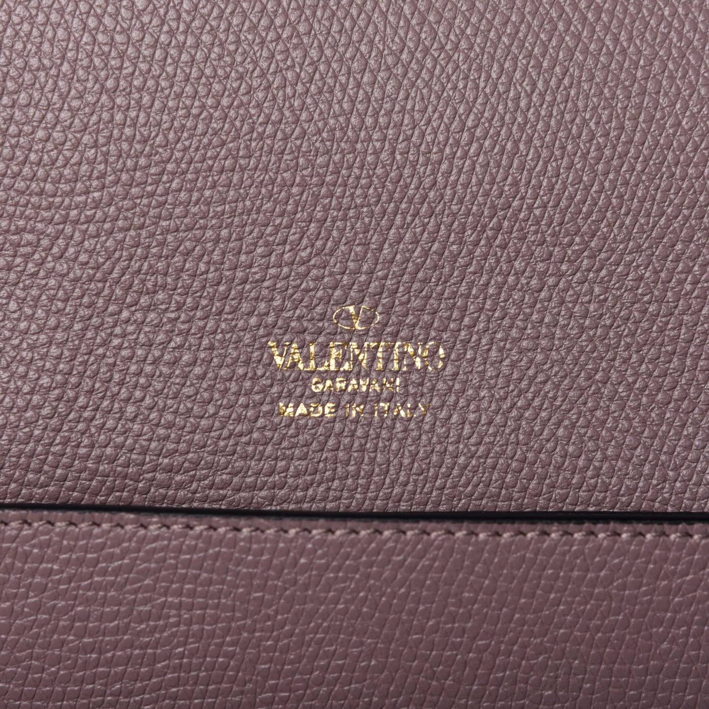 Grainy Calfskin Vlogo Signature Pouch Clay