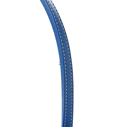 Goyard Goyardine Saint Louis PM Sky Blue 12 of 12