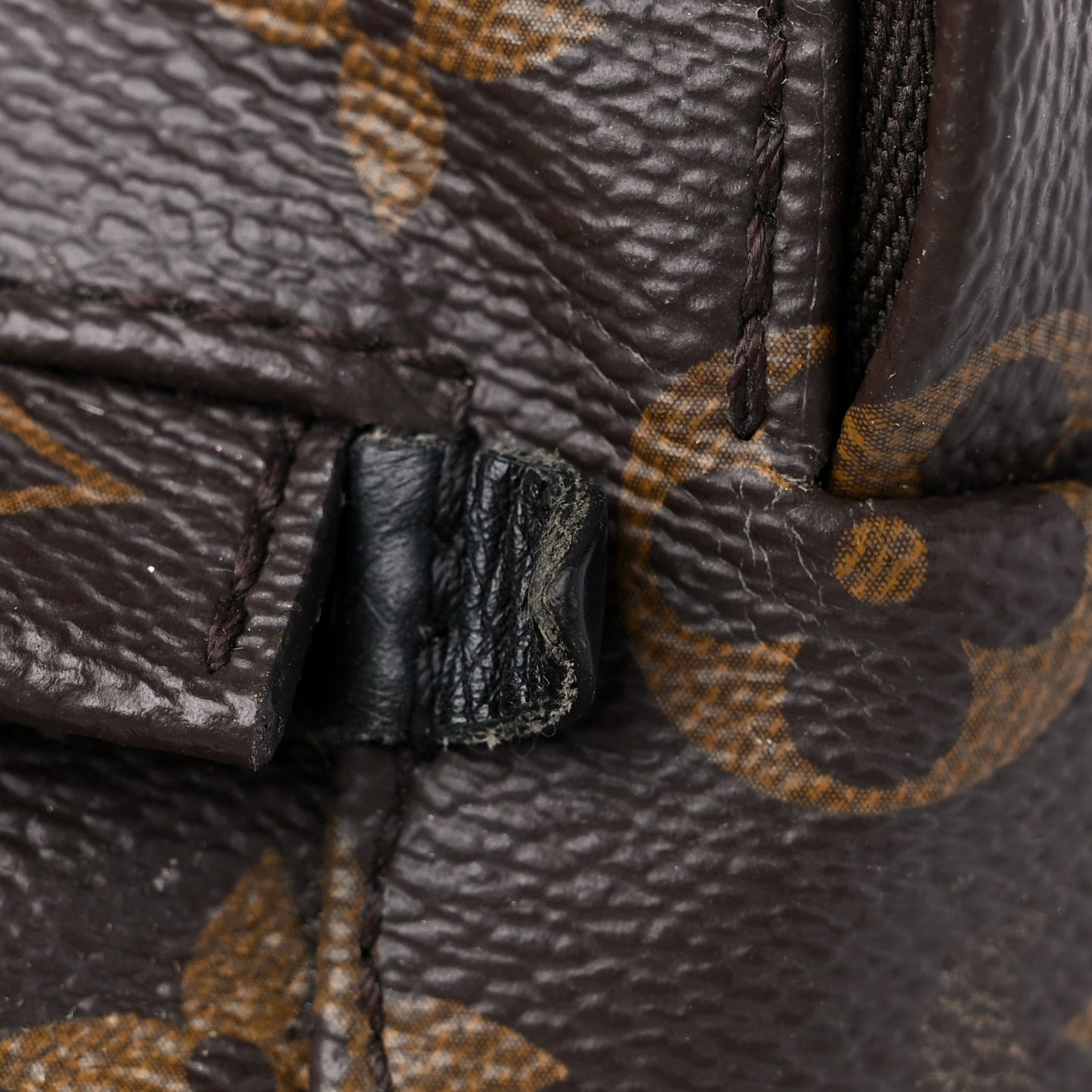 Monogram Palm Springs Backpack Mini