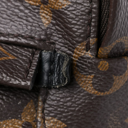 Louis Vuitton Monogram Palm Springs Backpack Mini 12 of 17