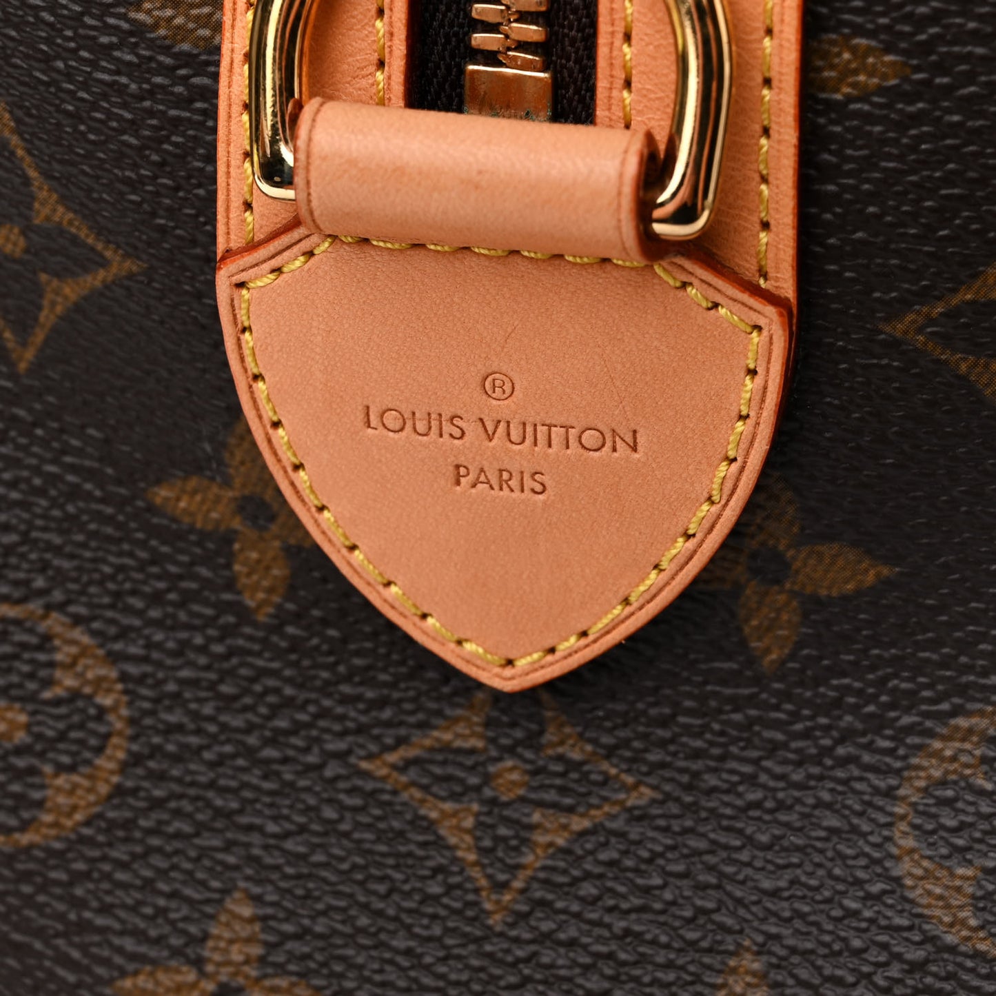 Monogram Sofia Coppola Speedy