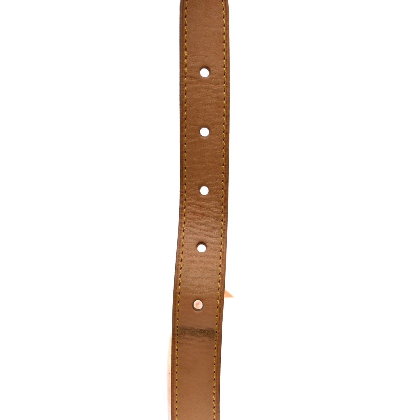 Vachetta Baggy PM Strap