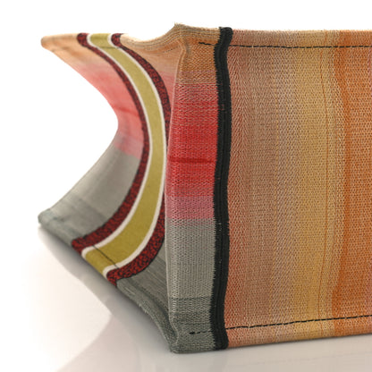 Christian Dior Canvas Embroidered Medium Dioraura Book Tote Multicolor 8 of 15