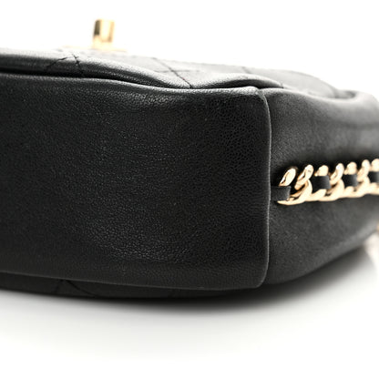 Chanel Goatskin Quilted Small Casual Trip Camera Case Black 10 of 12