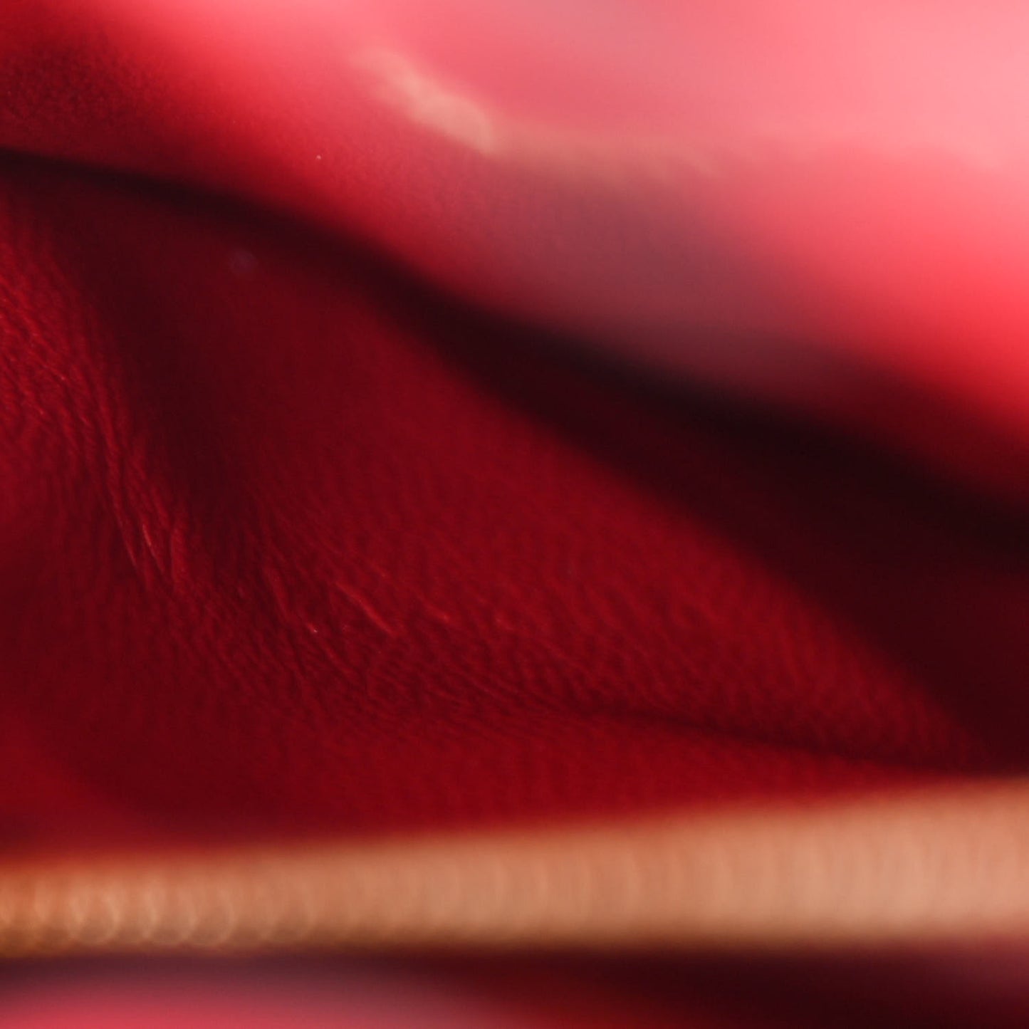 Box Calfskin Small Classic Box Flap Bag Red