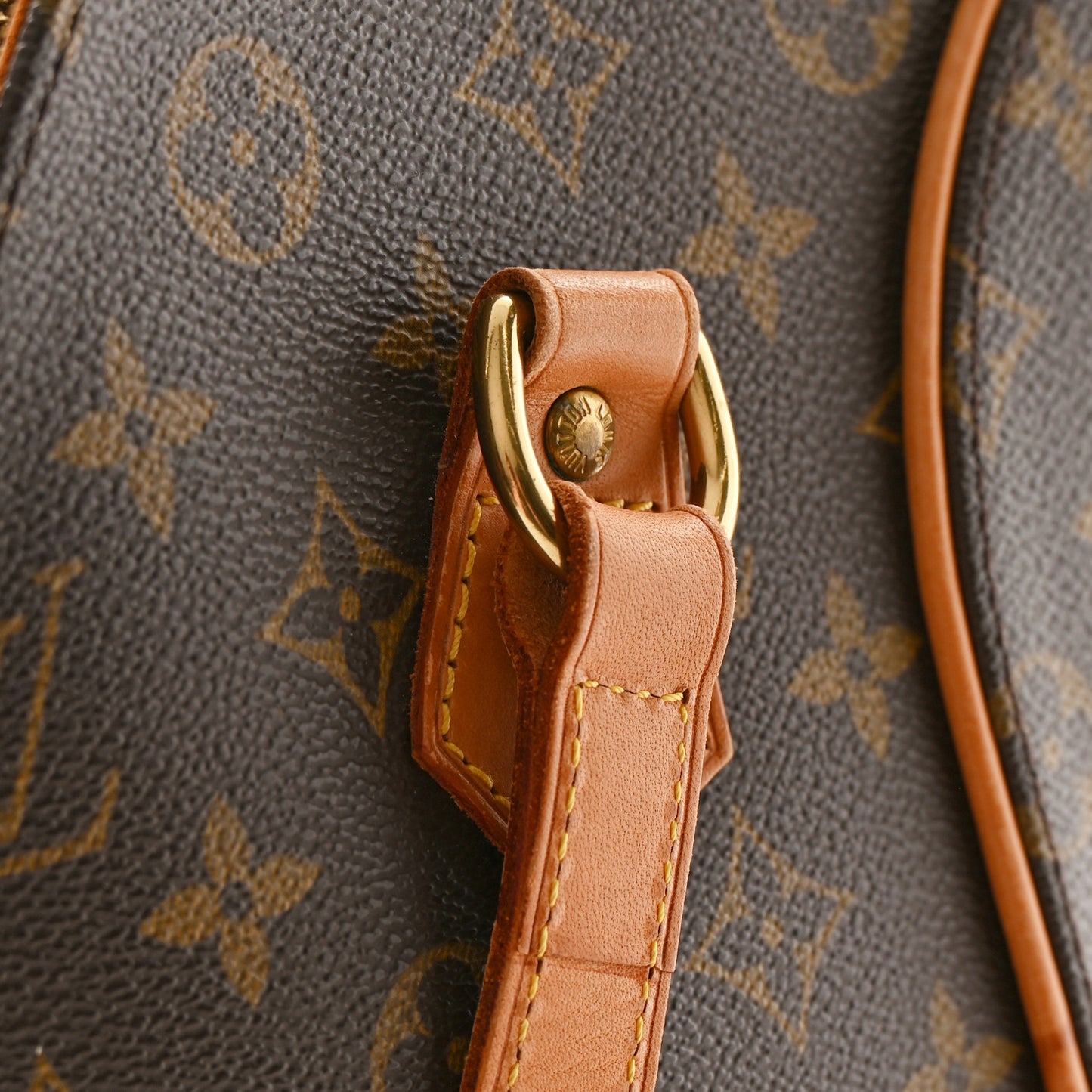 Monogram Ellipse GM Shopping Bag