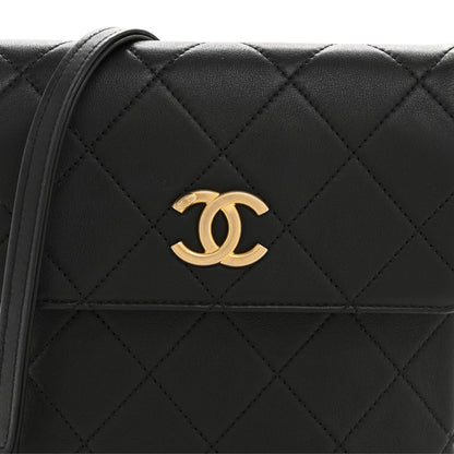 Chanel Calfskin Quilted Pearl Small About Pearls Hobo Bag Black 8 of 10
