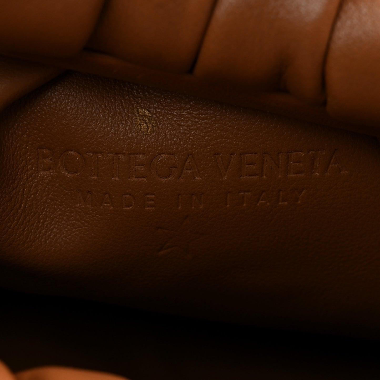 Smooth Butter Calfskin Small The Shoulder Pouch Cammello