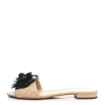 Chanel Lambskin Quilted Camellia CC Slides 37.5 Beige 1 of 11