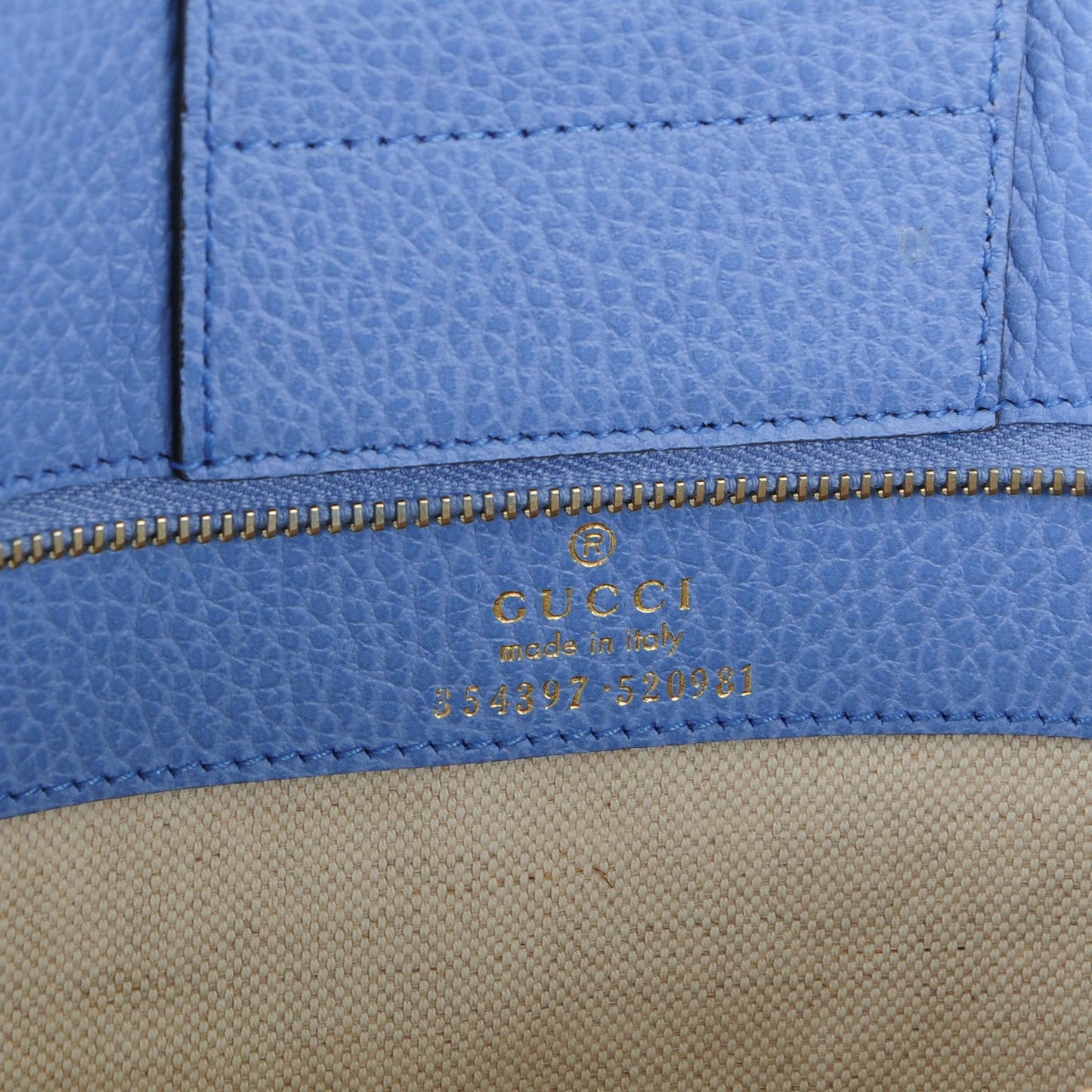 Dollar Calfskin Medium Swing Tote Camelia Mineral Blue